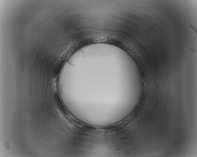 X0000102530598200808081054