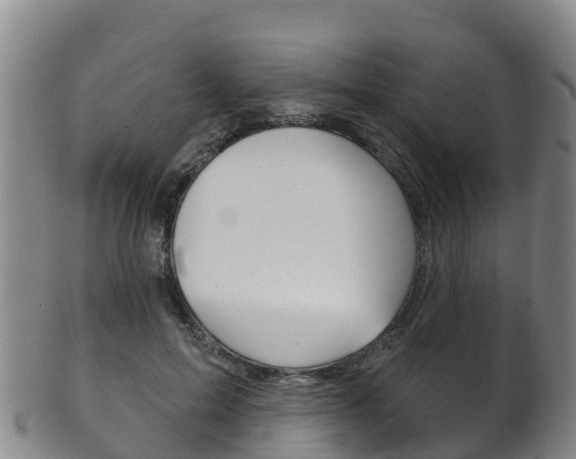 X0000102530599200808081054