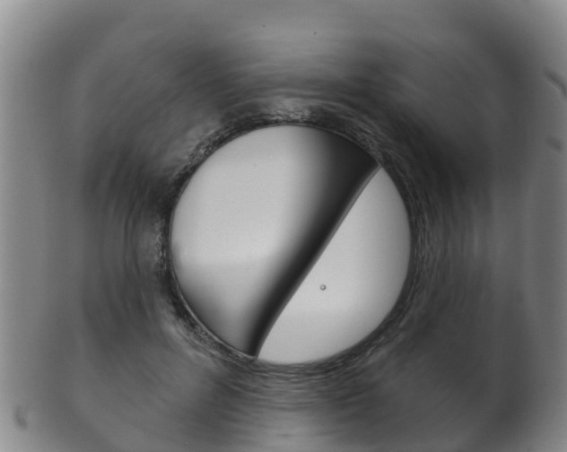 X0000102530600200808081054