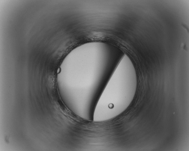 X0000102530604200808081054