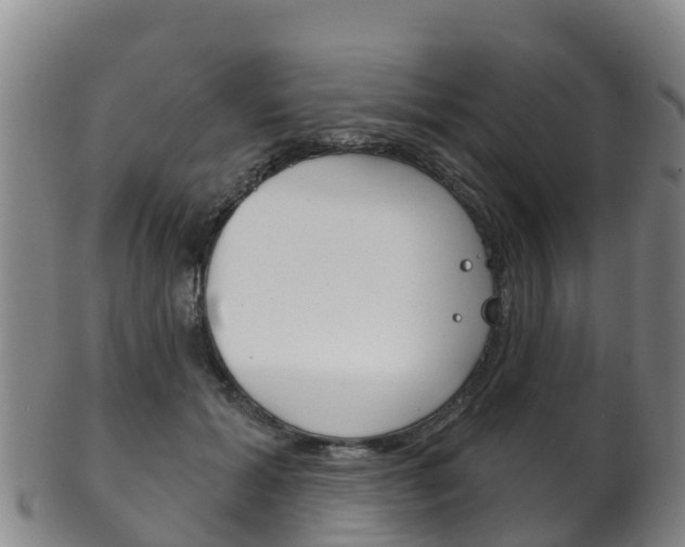X0000102530605200808081054