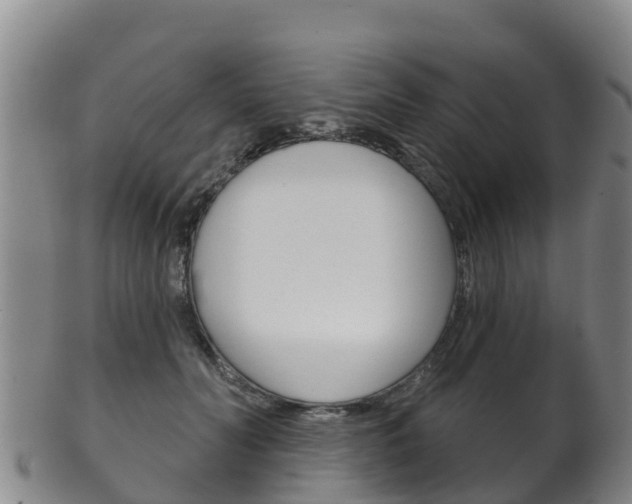 X0000102530606200808081054