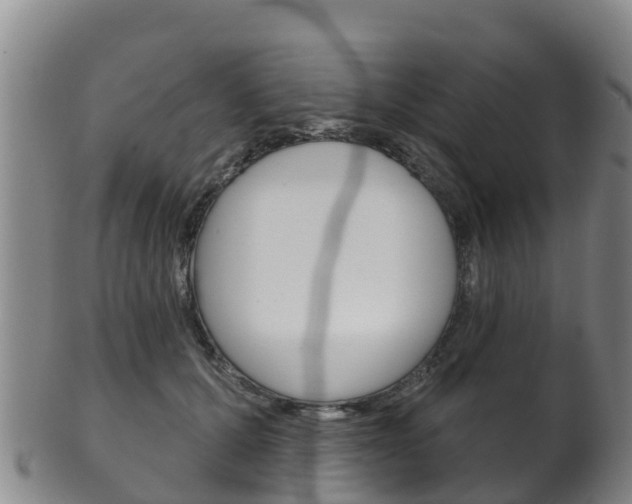 X0000102530607200808081054