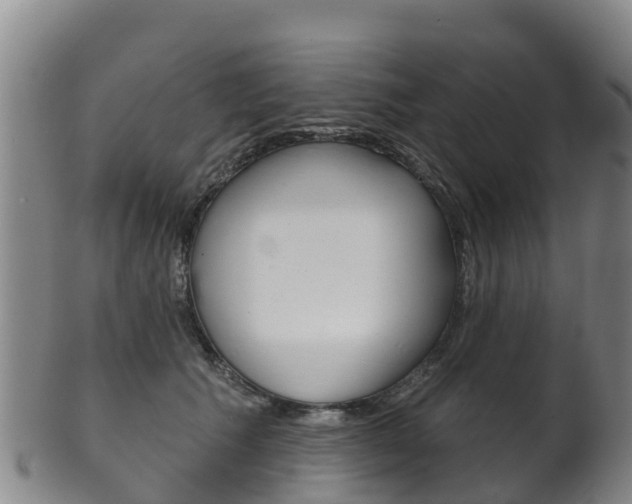 X0000102530609200808081054