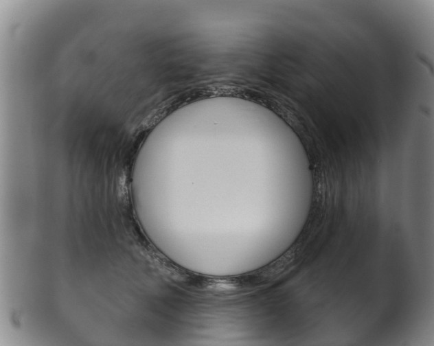 X0000102530610200808081054