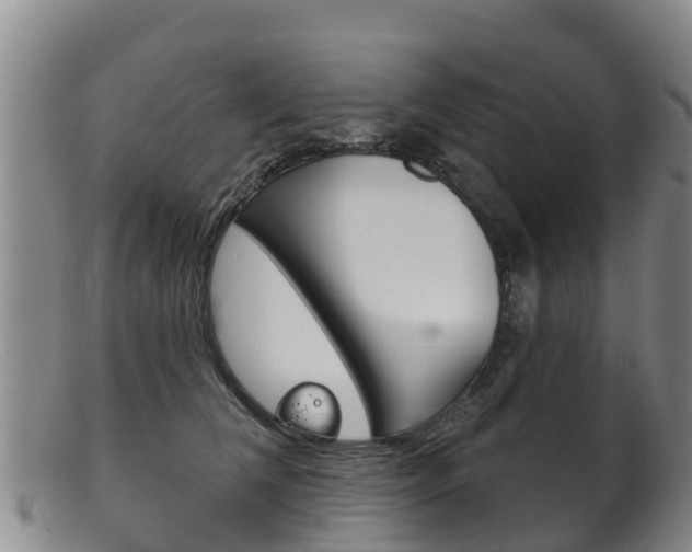 X0000102530612200808081054