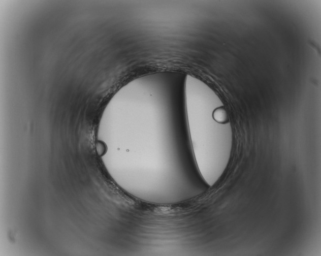 X0000102530613200808081054