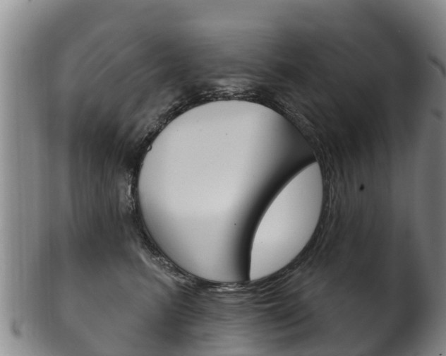 X0000102530615200808081054
