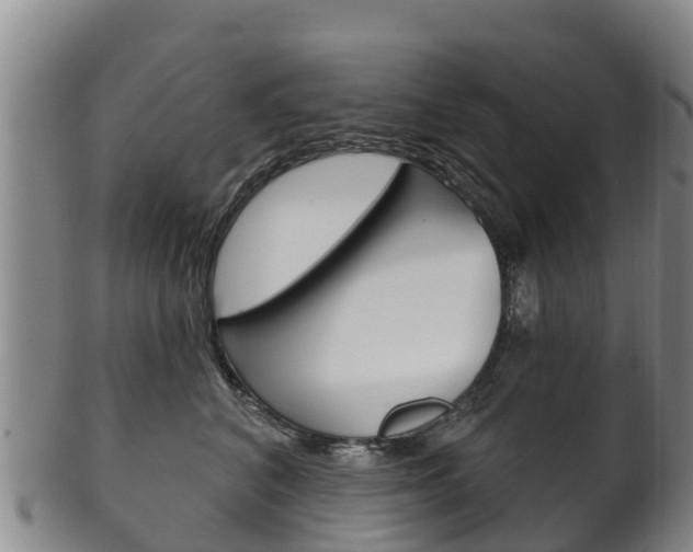 X0000102530616200808081054