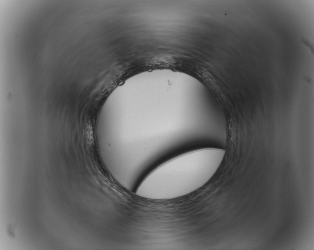 X0000102530617200808081054