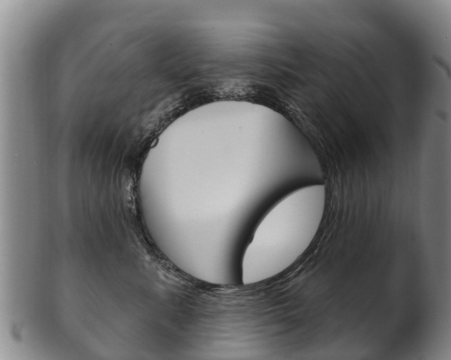 X0000102530619200808081054