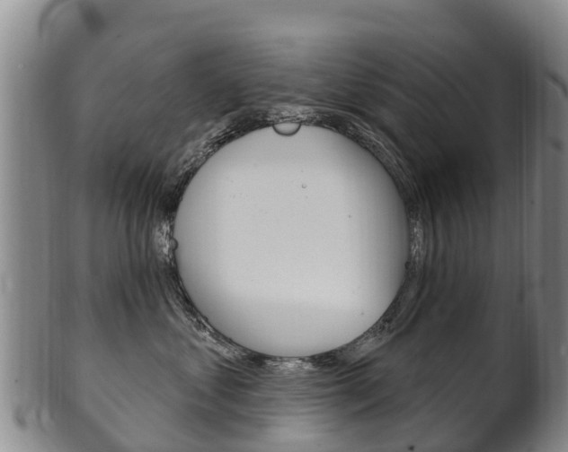 X0000102530621200808081054