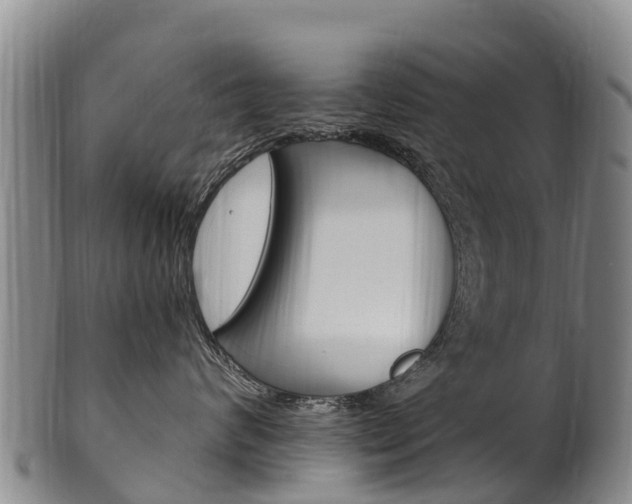 X0000102530624200808081054