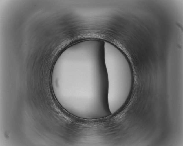 X0000102530625200808081053