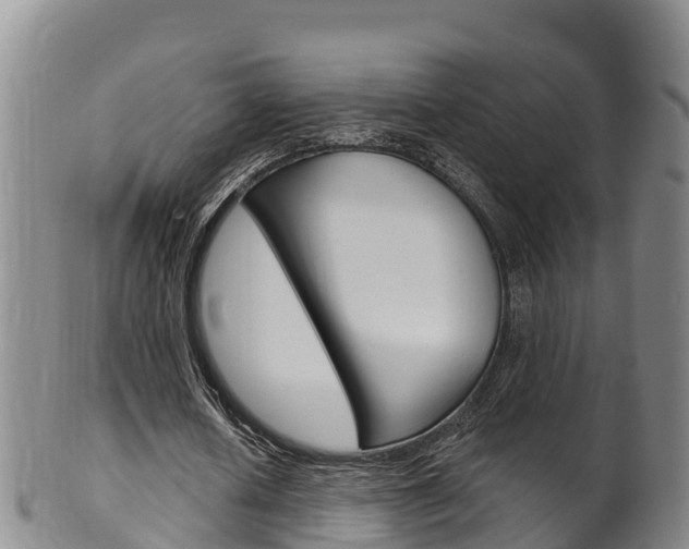 X0000102530626200808081053