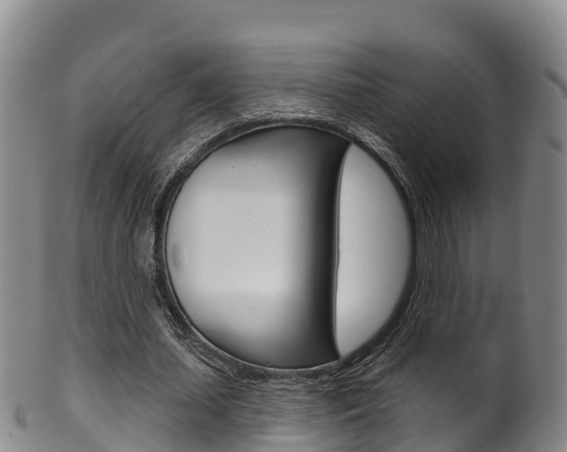X0000102530627200808081053