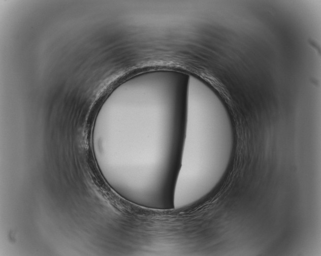 X0000102530628200808081053