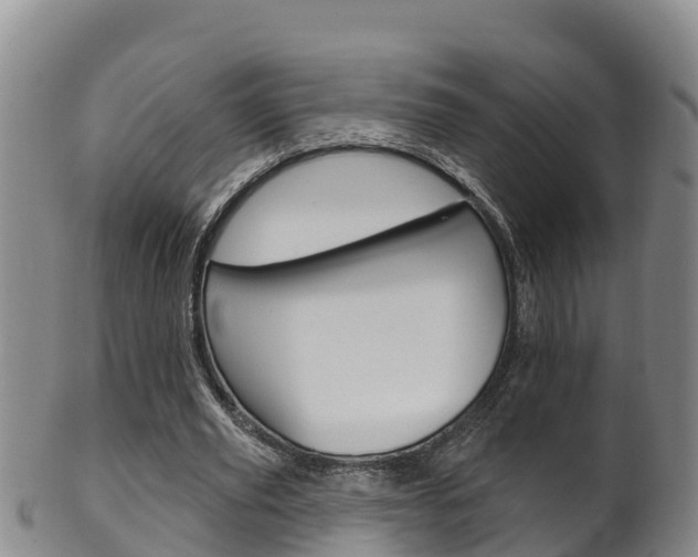 X0000102530629200808081053