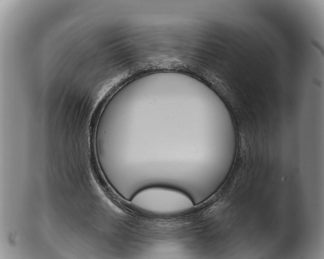 X0000102530630200808081053