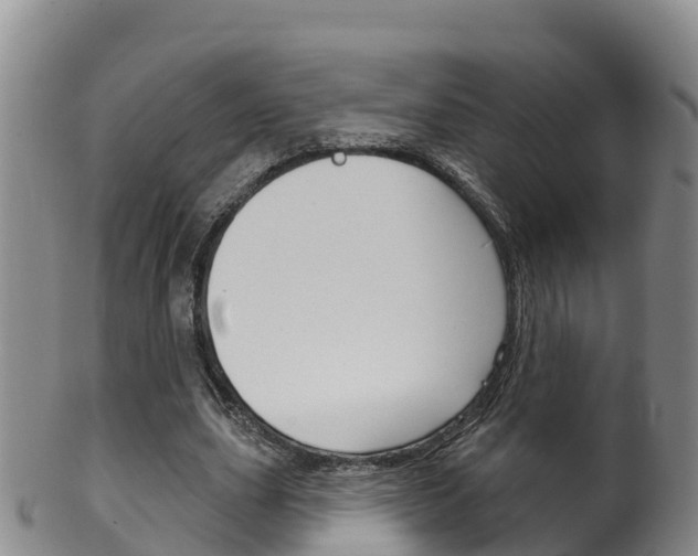 X0000102530631200808081053