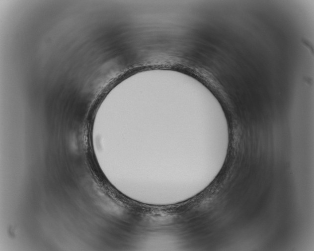 X0000102530632200808081053