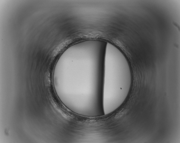 X0000102530634200808081053
