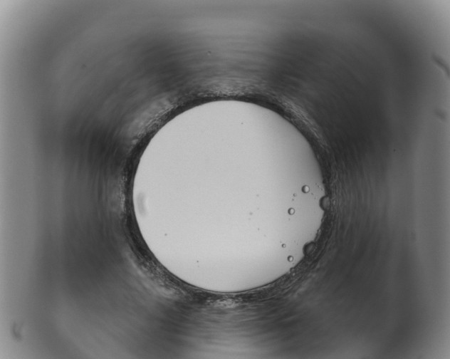 X0000102530635200808081053