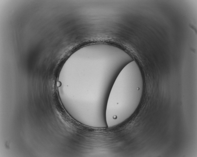 X0000102530636200808081053