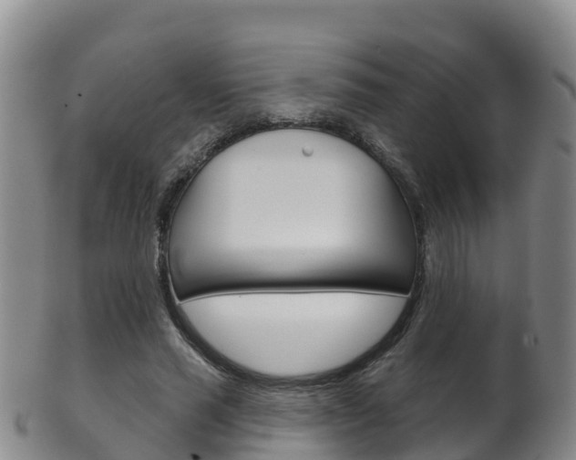 X0000102530637200808081053