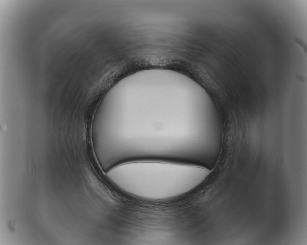 X0000102530639200808081053