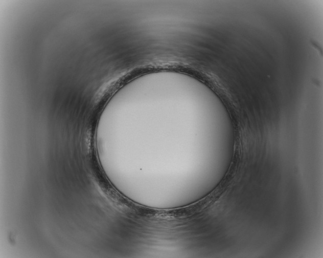 X0000102530640200808081053