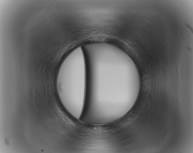 X0000102530641200808081053