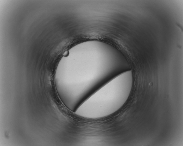 X0000102530643200808081053