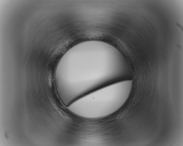 X0000102530644200808081053