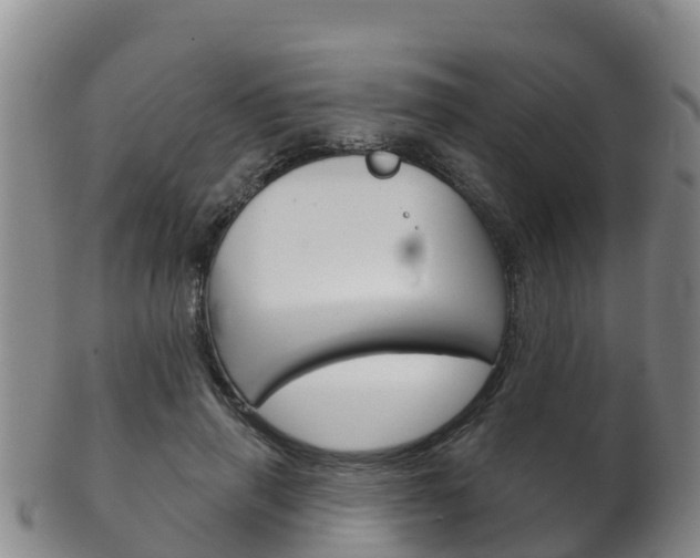 X0000102530645200808081053