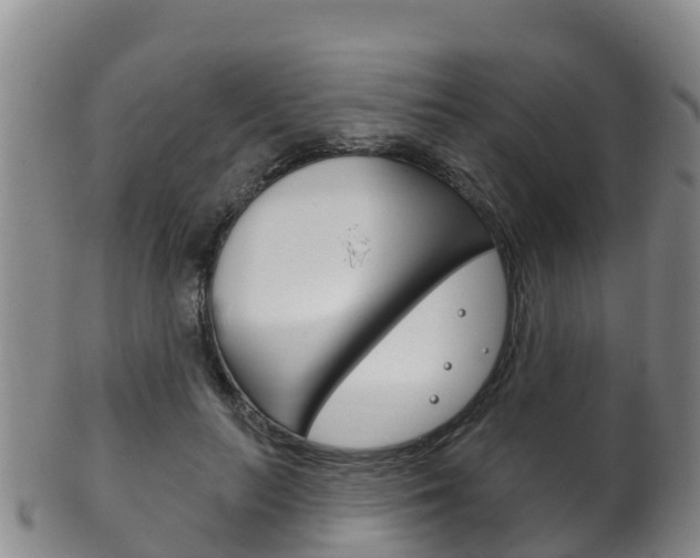 X0000102530647200808081053