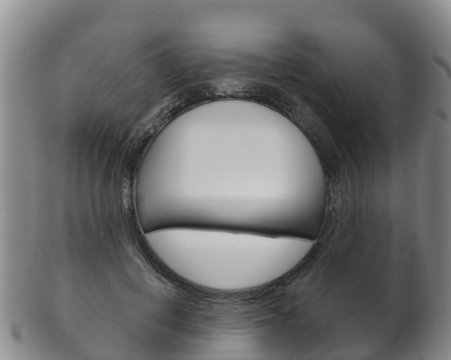 X0000102530648200808081053
