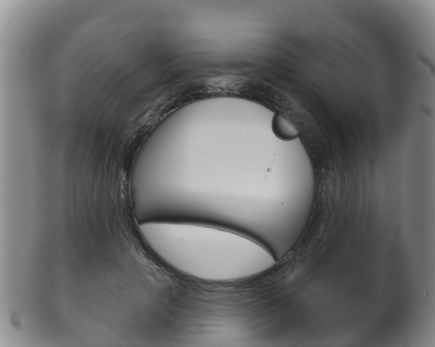 X0000102530649200808081053