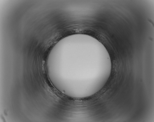 X0000102530650200808081053