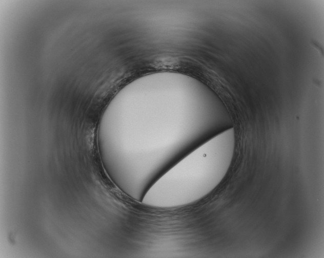 X0000102530652200808081053