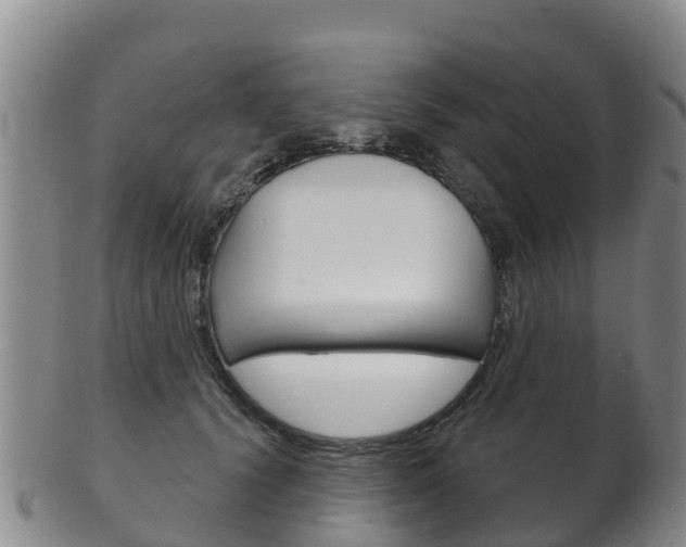 X0000102530656200808081053