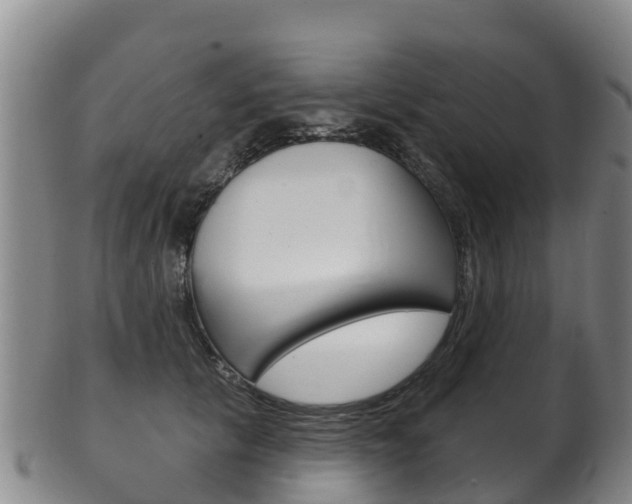X0000102530657200808081053