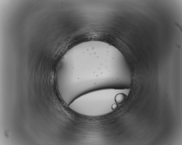 X0000102530660200808081053