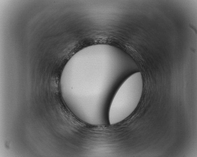 X0000102530661200808081053
