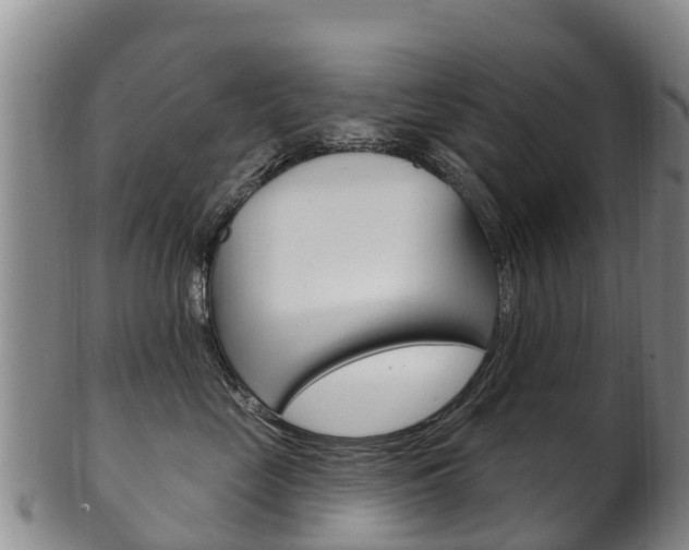 X0000102530669200808081053