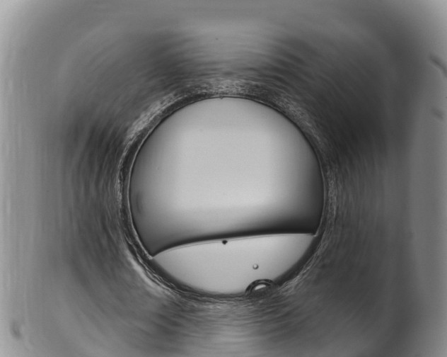 X0000102530674200808081053