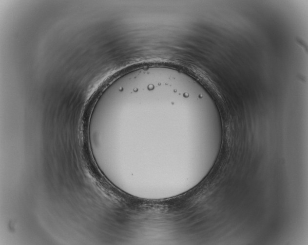 X0000102530676200808081053