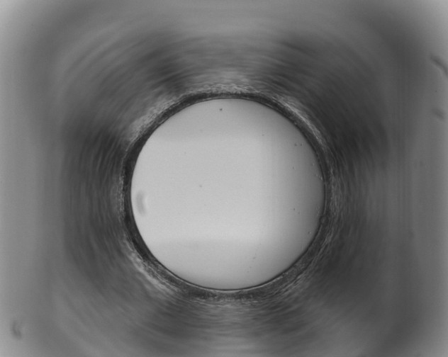X0000102530677200808081053