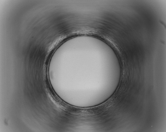 X0000102530678200808081053