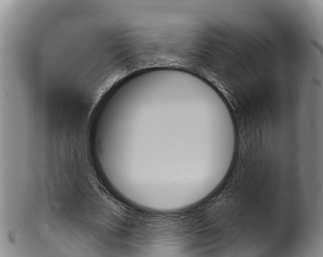 X0000102530679200808081053